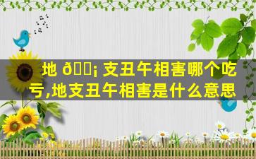 地 🐡 支丑午相害哪个吃亏,地支丑午相害是什么意思